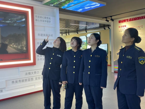微信图片_20241105163741