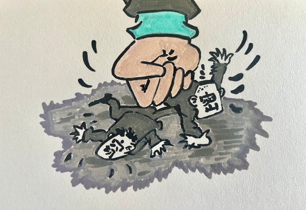 董美岑8.6