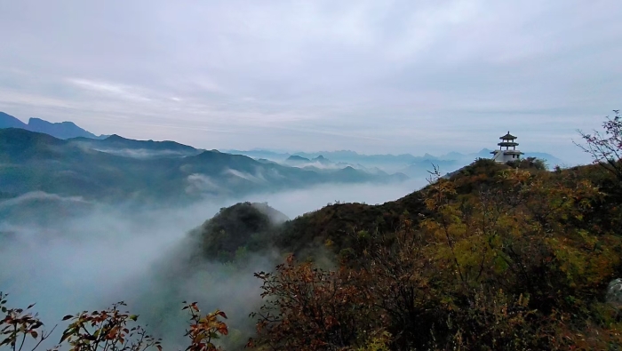 微信图片_20251108200647