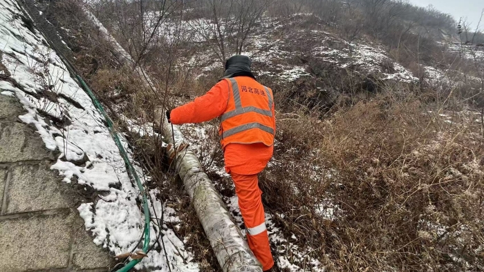 ded7e44fae38ea8b8a89228a02192ae0