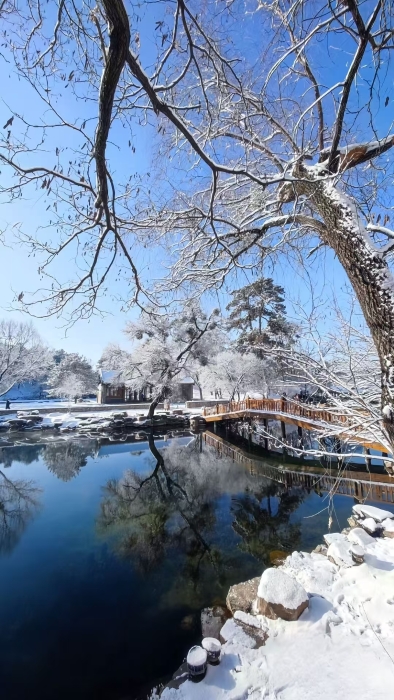 微信图片_20260111173206