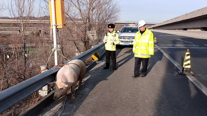 efbb17f0724616ec3c7fe242318e76ac