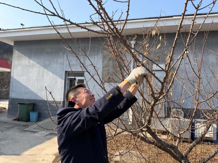 微信图片_20260310165328_22_31