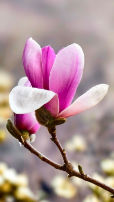 孙玉环4.15.2