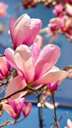 孙玉环4.15.3